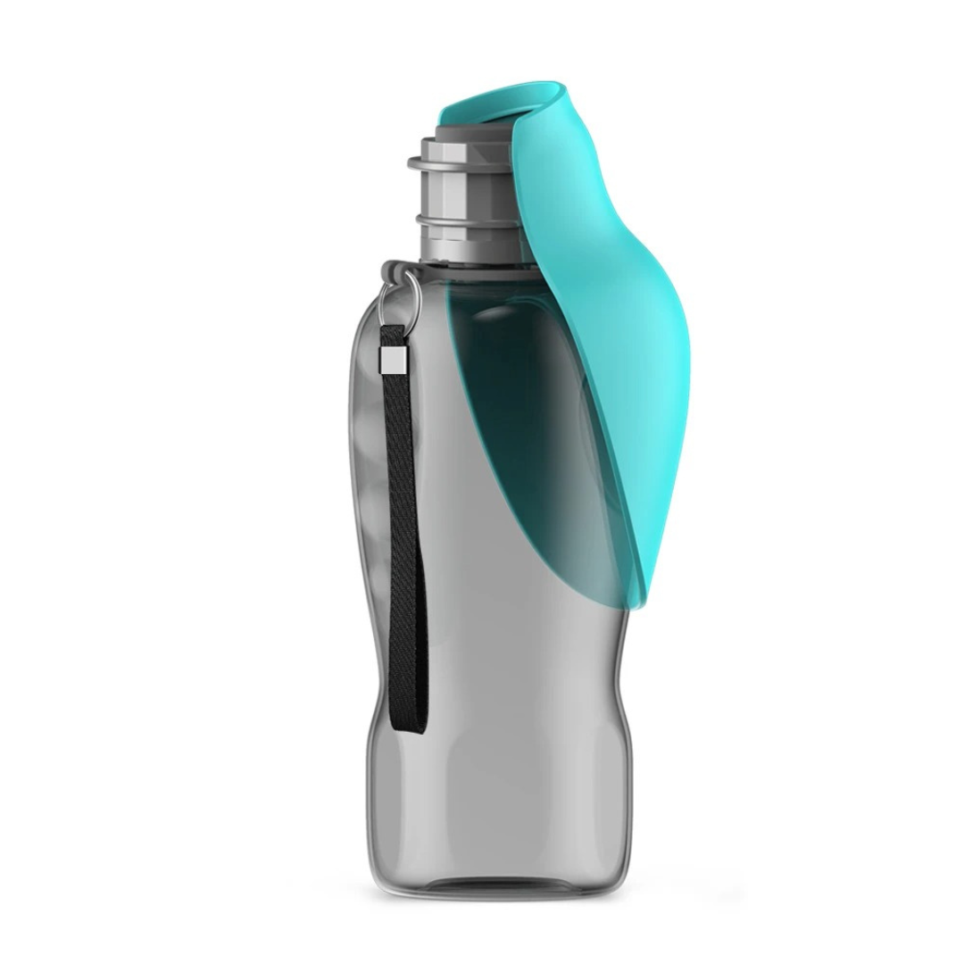 HydroBuddy – Edelstahl-Trinkflasche für Hunde auf Reisen