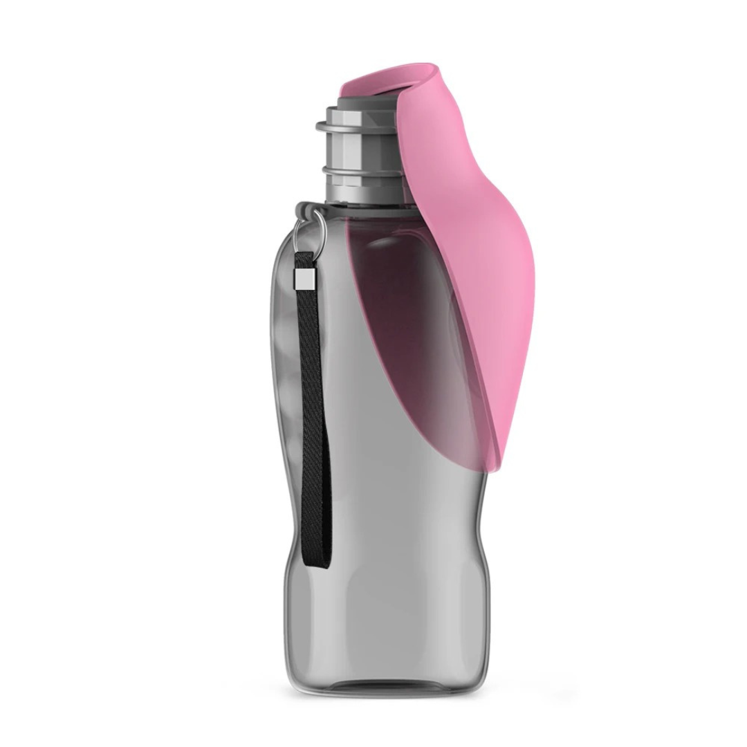 HydroBuddy – Edelstahl-Trinkflasche für Hunde auf Reisen