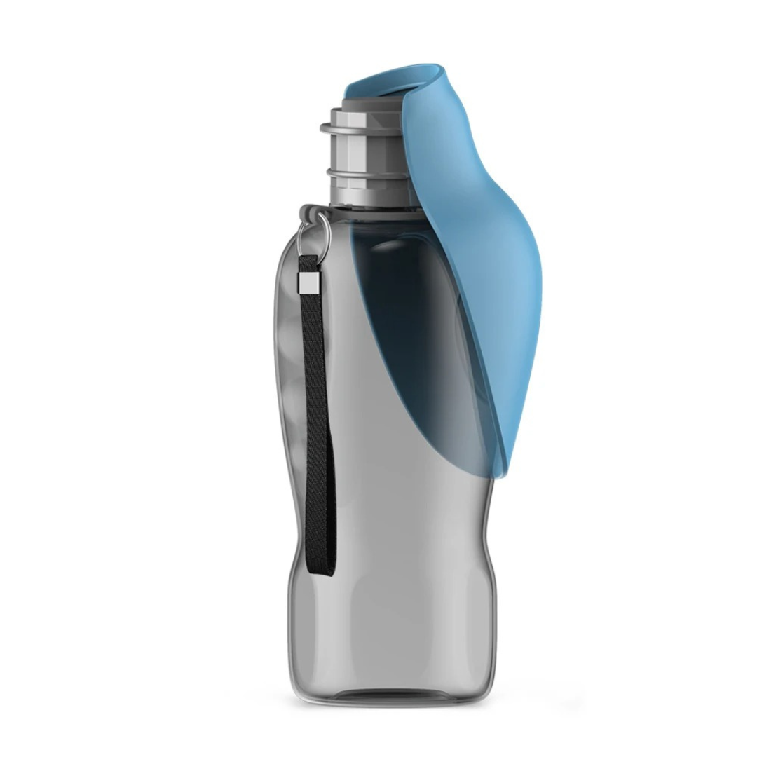 HydroBuddy – Edelstahl-Trinkflasche für Hunde auf Reisen