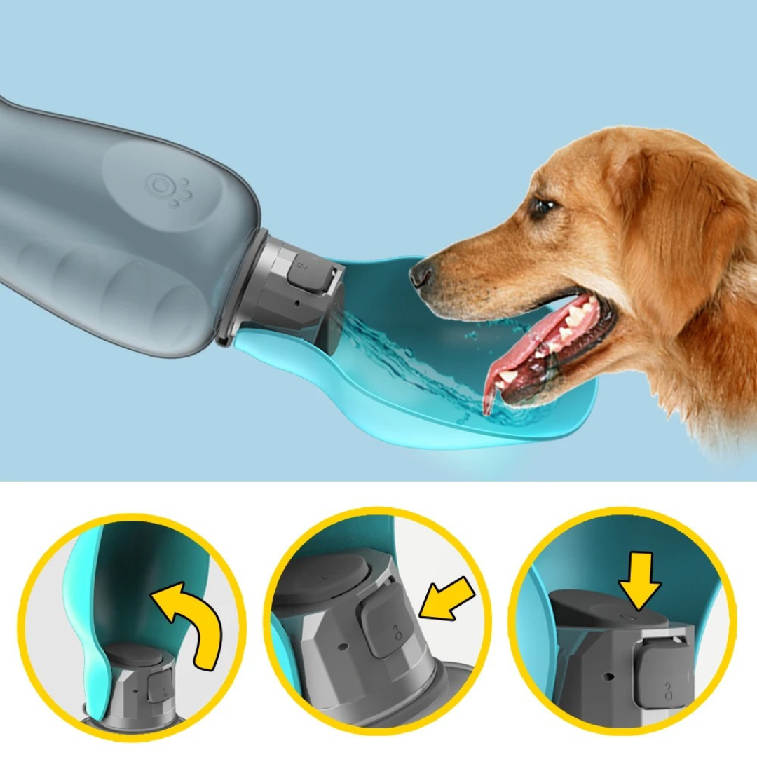 HydroBuddy – Edelstahl-Trinkflasche für Hunde auf Reisen