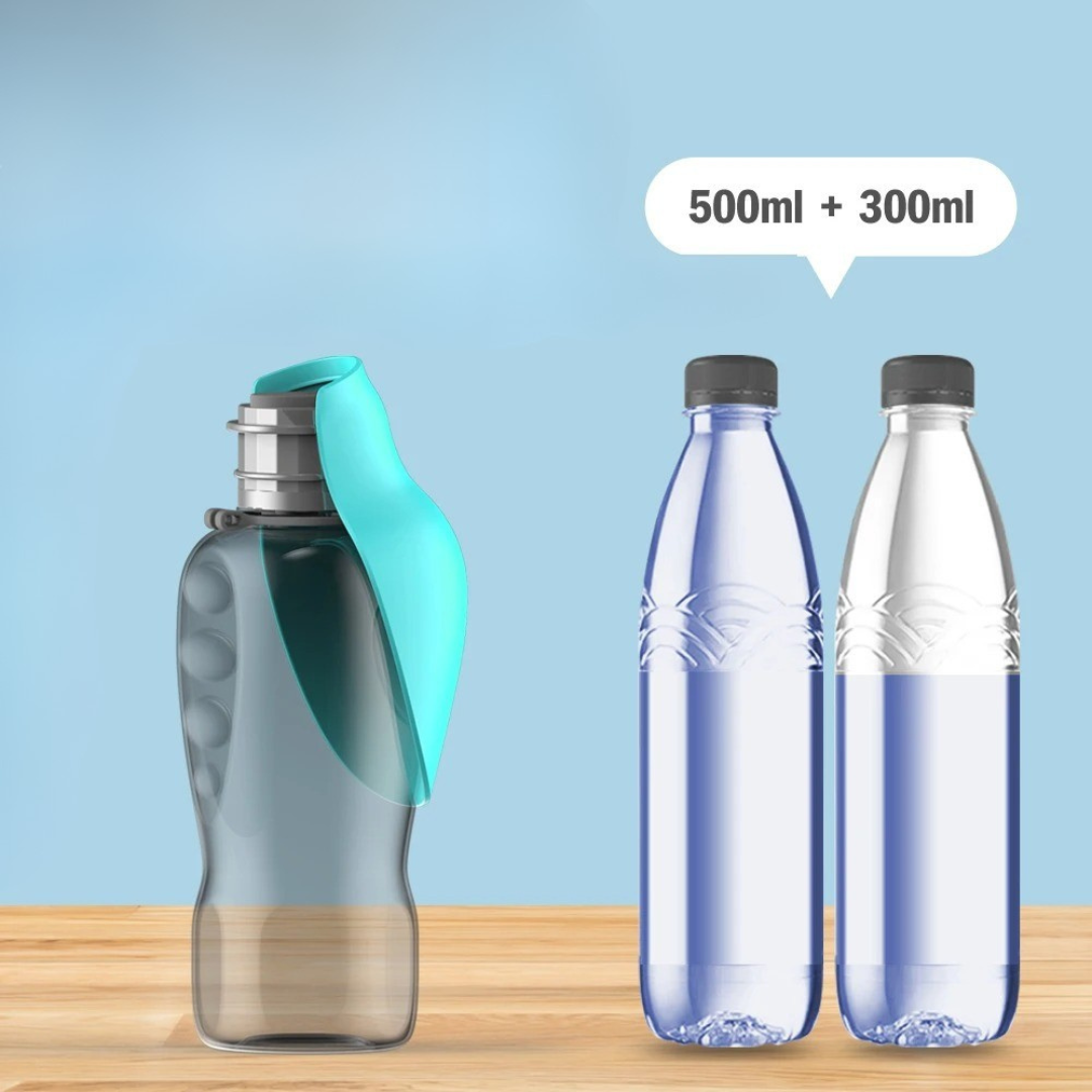 HydroBuddy – Edelstahl-Trinkflasche für Hunde auf Reisen