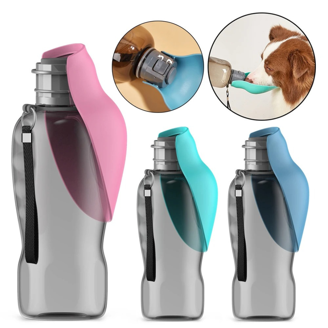 HydroBuddy – Edelstahl-Trinkflasche für Hunde auf Reisen