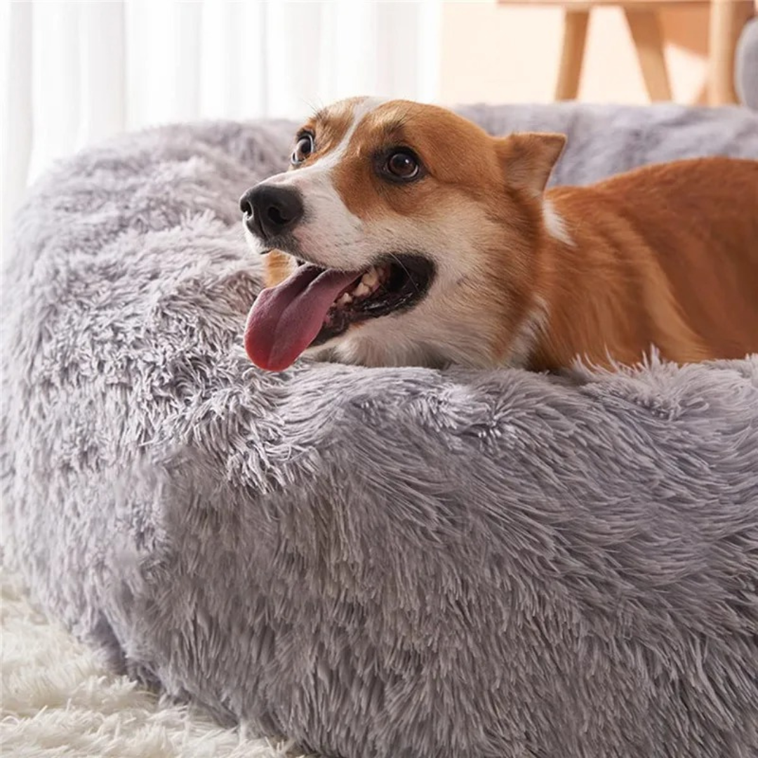 ComfyPaws – kuscheliges Hundebett für alle Größen