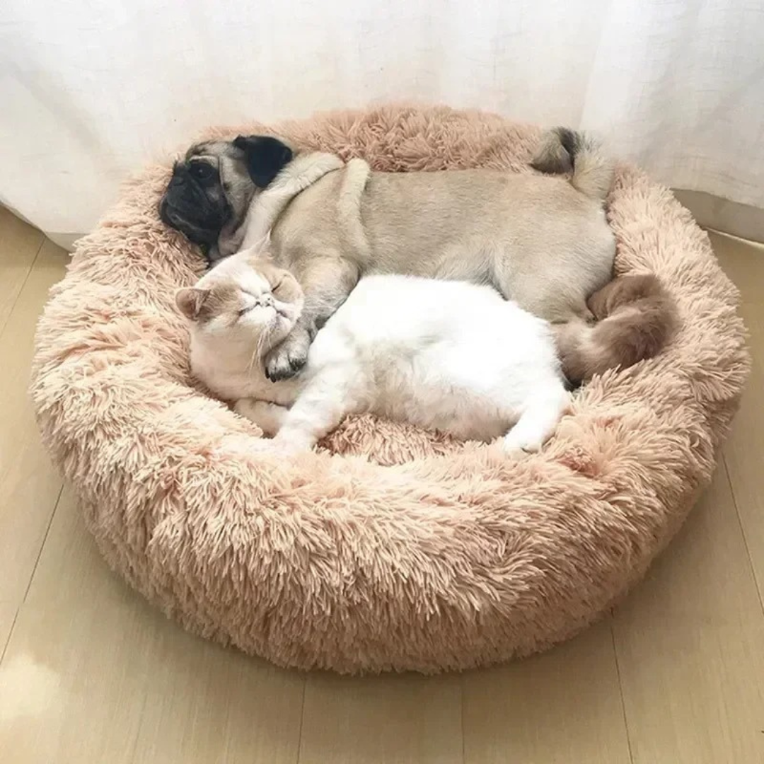 ComfyPaws – kuscheliges Hundebett für alle Größen